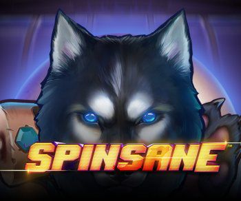 Spinsane Video Slot